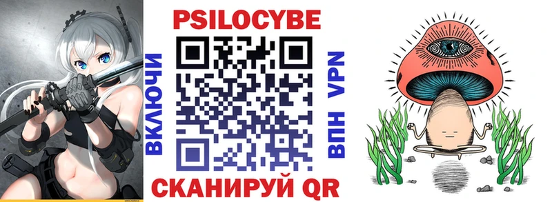 Галлюциногенные грибы Psilocybe  Болхов 